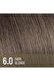Plex Rebuilder Permanent Hair Color Cream - 6.0 Dark Blonde Hair Dye Kit - 5