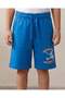 Boys Blue Printed Shorts - 4