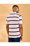 Men Striped Classic Polo Shirt - 3