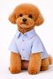 Small Breed Linen Blue Striped Dog Shirt Dog Apparel (1-10kg) - 3