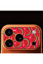 iPhone 17 Pro Full Coverage Camera Frame Protector with Patterned Print - Watermelon
