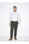 Quality Parts from Çelebi Store Standardfit Gabardine Men's Chino Pants - 3