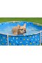 Fetchin Fun Pet Play School - 4