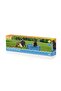 Fetchin Fun Pet Play School - 5
