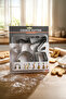 Stainless Steel Music Themed Cookie Cutter Set 6-Piece - Guitar Note Headphones