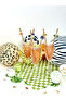 Safari Theme Birthday Set – Jungle Party Decoration Set - 5