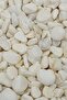 Natural White Gravel
