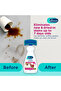 DB Carpet Cleaning Brush 650Ml - 5