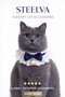 Cat Outfit with Bow and Pearl (Necklace, Bandana) - 4
