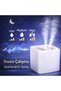 Large Capacity Double Nozzle 3 Liter Steam Machine Air Humidifier Humidifier Fragrance Added - 3