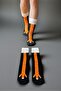 Chicken Leg Patterned Gift Pack of Cotton Women's Knee High Socks - 3