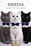 Cat Outfit with Bow and Pearl (Necklace, Bandana) - 2
