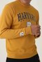 Harvard men's single top - dark mustard - 3