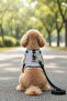 Classic Dog Harness Set Includes Anti-Pull/Breathable Fabric/Walking Strap