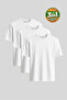 3-Pack Economy Premium Fit Cotton Basic T-Shirt 100% Wardrobe Essentials