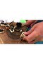 Siyah Sarımsak 500 gr - 4