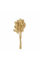 Dry Flower Cotton Weed Rabbit Tail (Cotton Weed) Natural 55 Branches - 2