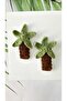 Ramadan Religious Date Palm Tree Model Children's Hair Accessory 2-Piece Snap Clip - 5
