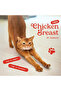 Freeze-Dried Chicken Breast 100g - 2