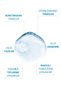 Sebum Balancing and Anti-Blackhead Facial Cleansing Gel All Skin Types 200 ml - 4