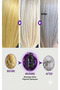 Silver Pigment (Purple) Shampoo 500 ml - 3