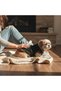 Black Sweater with Green and Red Stripes for Cat and Dog - 5