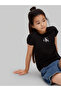 Girls T-Shirts - 4