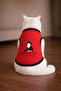 Red Food Cat Printed Cat Tshirt Size m Cat Clothing (100% Cotton Combed)