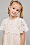 Embroidered Fit & Flare Dress With Crew Neck And Flared Sleeves - 2