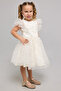 Embellished Fit & Flare Dress With Crew Neck And Flutter Sleeves - 5