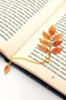 Ash Autumn Tree Leaves Bookmark Metal Bookmark Book Mark with Chain Ay113