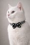 Black and White Rubber Striped Bow Tie Cat Dog Leash 33cm