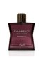 Daarej Pour Femme Magnetic Edp For Women Warm 100 ml