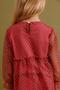 Girl's Tulle Dress with Hat – Special Occasion Combination - 5