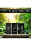Rosemary Scalp Hair Growth Oil (1x50ml) - 8