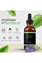 Rosemary Scalp Hair Growth Oil (1x50ml) - 4