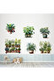 6-Piece Sticker Potted Flower Models Mc-480C - 4
