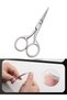 Manicure Scissors Stainless Steel - Nail Scissors Cuticle Scissors Meat Scissors Pedicure Scissors Professional - 3