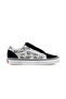 Old Skool Unisex Casual Shoesvn000D2Vbmb1 Colorful