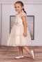 Kiz Cocuk Lace Flower Detail Dress - 2