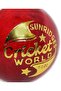 Cricket World Red Balls Pack of 4 Durable Practice and Match Training Cricket Balls - 3