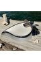 Decorative Seashell Design Bowl - 2