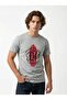 Boys Graphic T-shirt -GREY