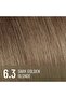 Plex Rebuilder Permanent Hair Color - 6.3 Dark Golden Blonde Hair Dye Kit - 5