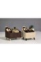Minimalist Design Standing Cosmetic and Accessory Organizer Set of 2