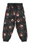 Dancer Tiger Emp. 2-5 Years Old Sweatpants - Gray 3-4 Years Old