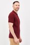 Men Sportswear Fit Short Sleeve Outdoor Polo Shirt, Maroon - 2