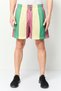 Men Sportswear Fit Drawstring Outdoor Shorts, Multicolor