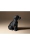 Modern Köpek Biblo (3D) - 3