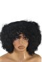 Afro Bouncy Curls Human Hair Wig – Short Curly Afro Wig | Natural Afro Human Hair Curls